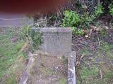 image of grave number 63976